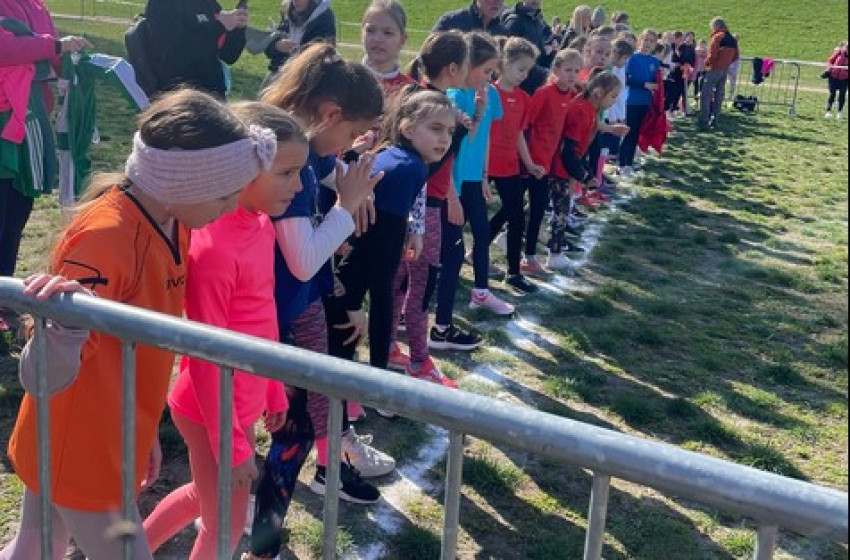 Ezüstösen csillognak a beledi diákok érmei